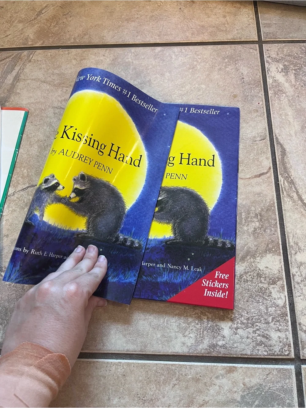 Back to School Book Bundle 📚 Kissing Hand, First Day Jitters, Bindergarten